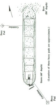 Artist concept of wreck